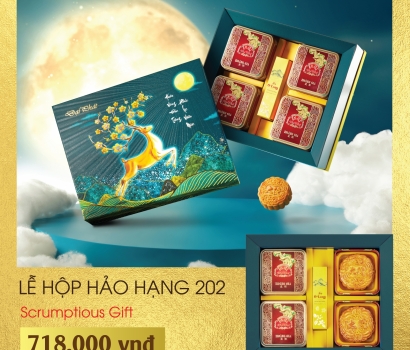 Lễ Hộp Hảo Hạng 202