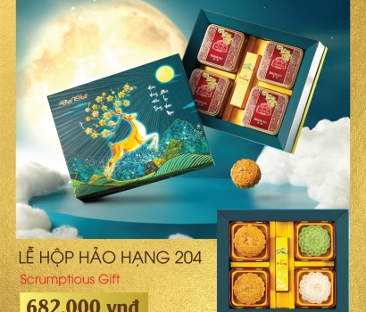 Lễ Hộp Hảo Hạng 204