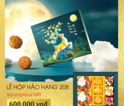 Lễ Hộp Hảo Hạng 208