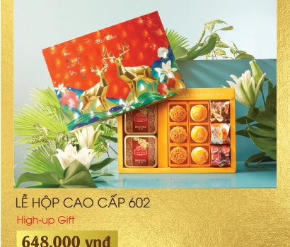 Lễ Hộp Cao Cấp 602