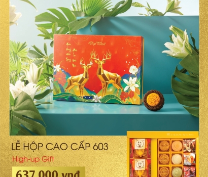 Lễ Hộp Cao Cấp 603